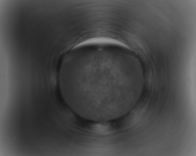 X0000093170232200710031509