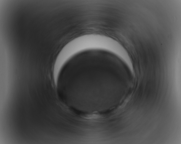 X0000093170233200710031509
