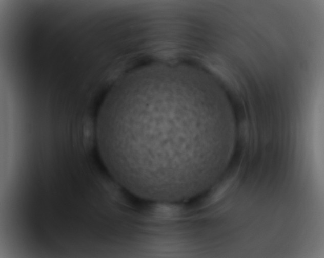 X0000093170234200710031509
