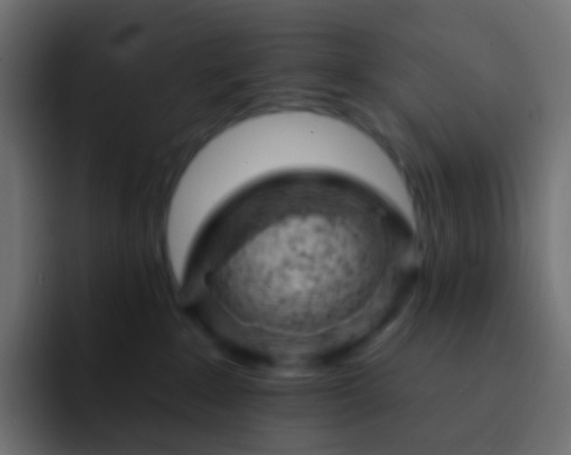 X0000093170235200710031509