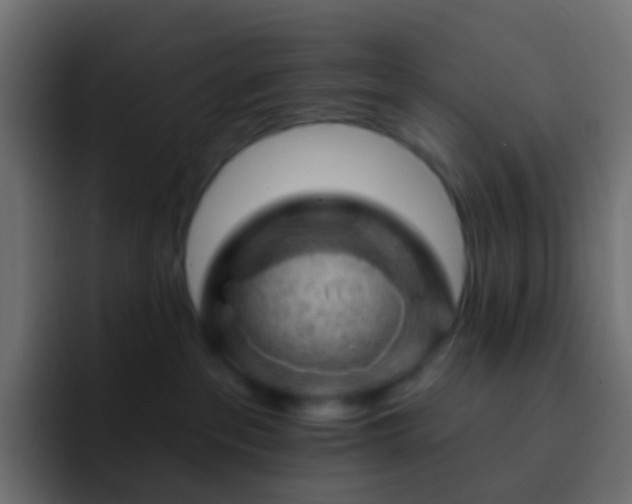 X0000093170237200710031509