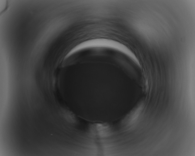 X0000093170239200710031509
