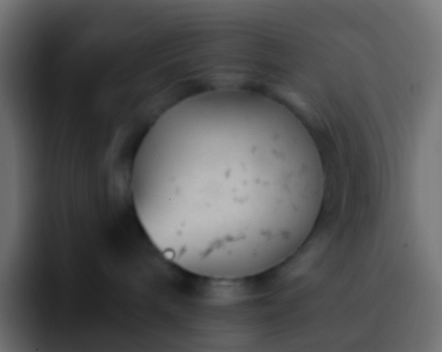 X0000093170240200710031509