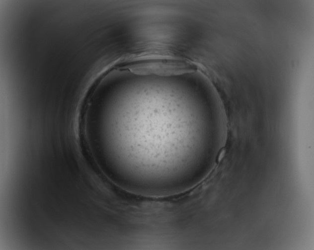 X0000093170242200710031509