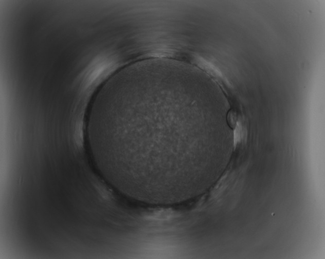 X0000093170243200710031509
