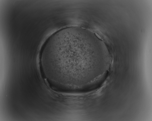 X0000093170244200710031509