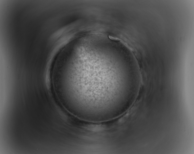 X0000093170245200710031509