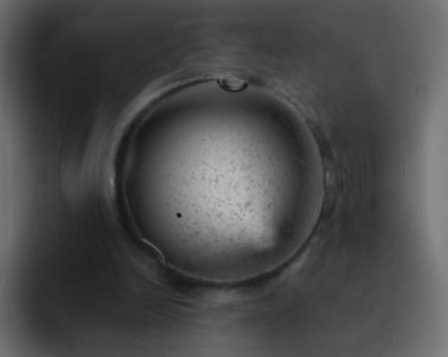 X0000093170246200710031509