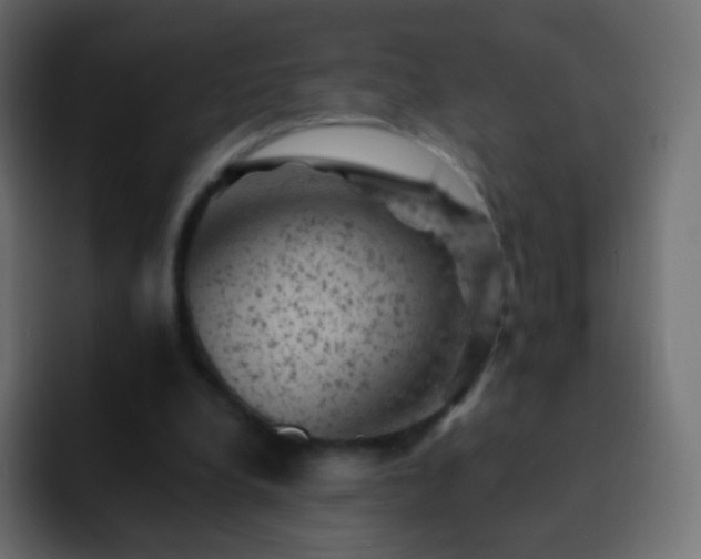 X0000093170248200710031509