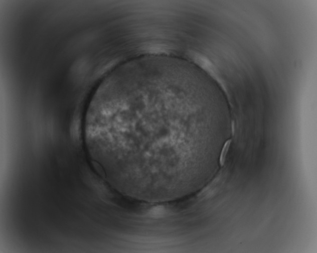 X0000093170249200710031509