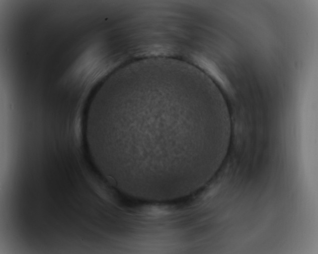 X0000093170250200710031509
