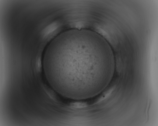 X0000093170251200710031509