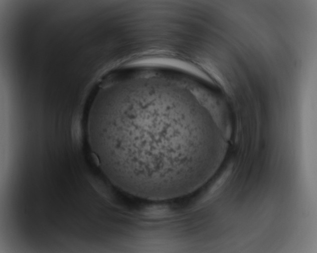 X0000093170252200710031509