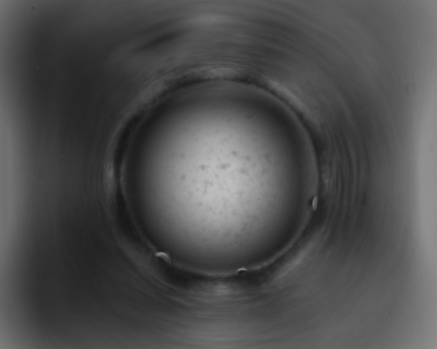 X0000093170254200710031509
