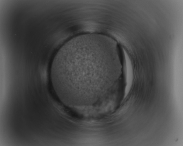X0000093170256200710031509