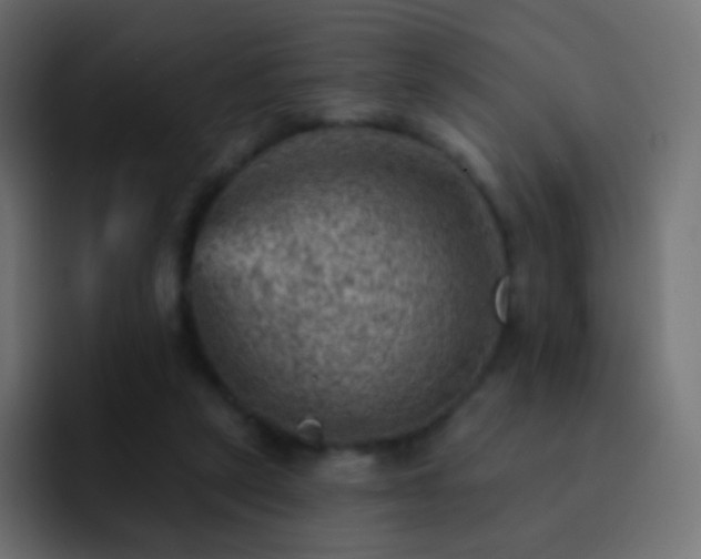 X0000093170257200710031509