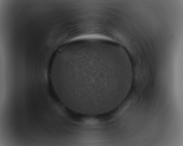 X0000093170258200710031509