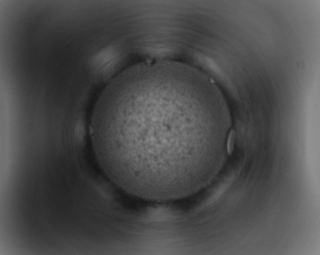 X0000093170259200710031509