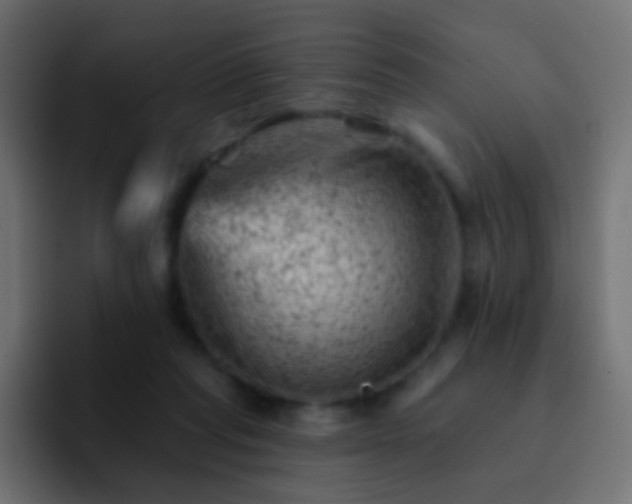 X0000093170261200710031509