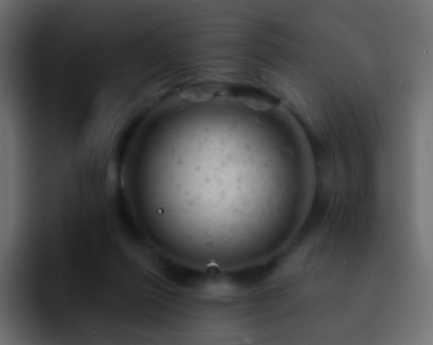 X0000093170262200710031509