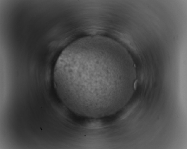 X0000093170263200710031509