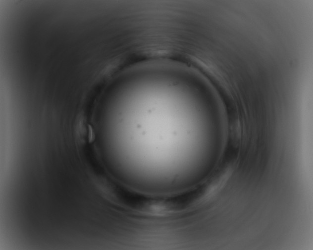 X0000093170264200710031509
