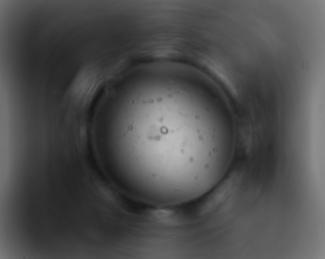 X0000093170265200710031509