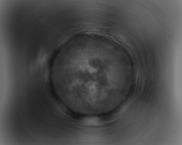 X0000093170266200710031509