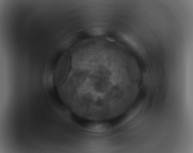 X0000093170267200710031509