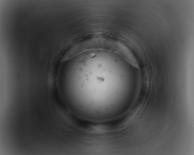 X0000093170268200710031509