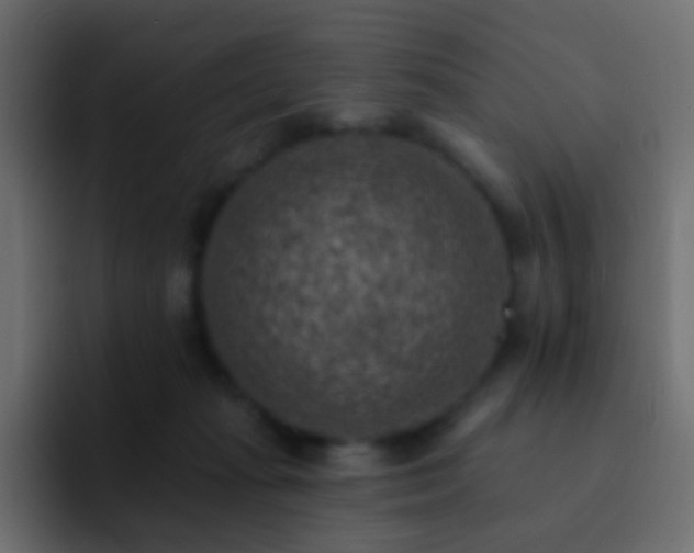 X0000093170269200710031509