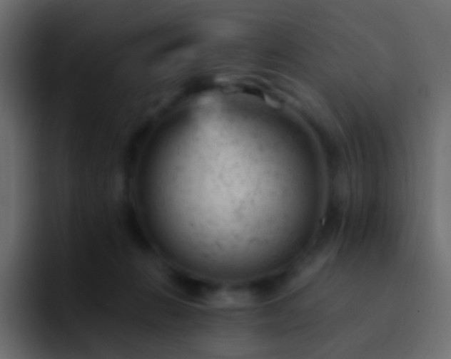 X0000093170270200710031509