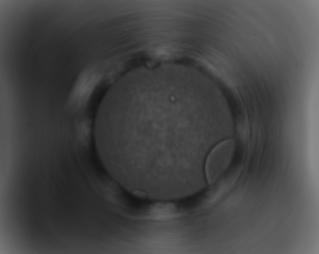 X0000093170271200710031509