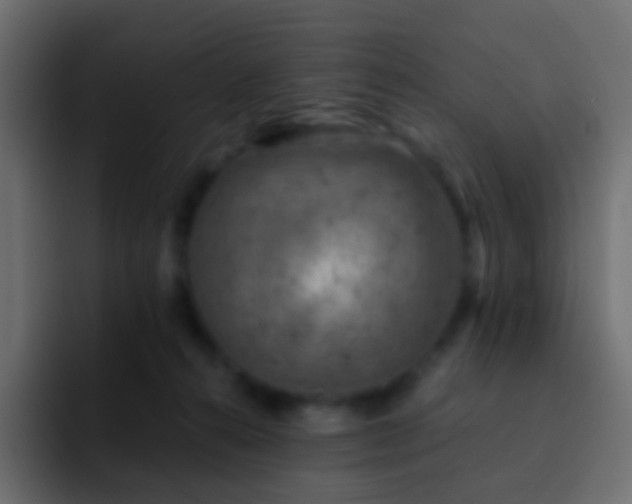 X0000093170272200710031509