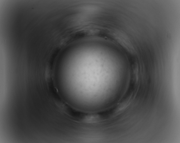 X0000093170274200710031509