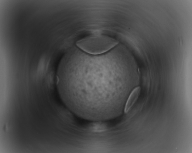 X0000093170275200710031509