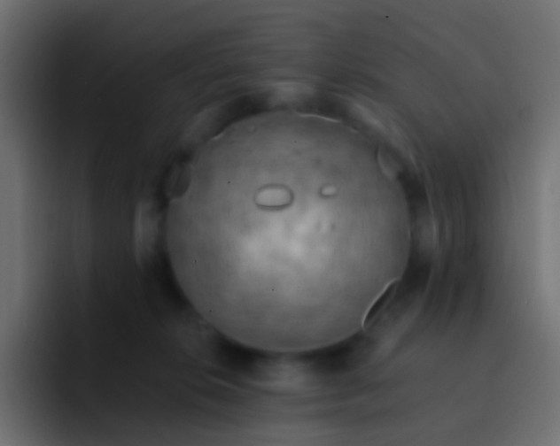 X0000093170276200710031509
