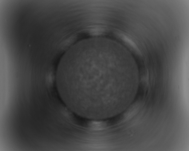 X0000093170277200710031509