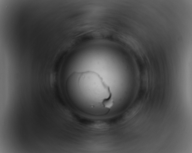 X0000093170278200710031509