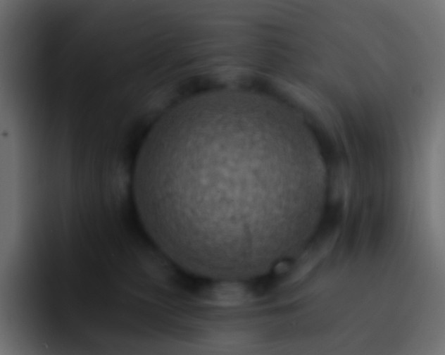 X0000093170279200710031509