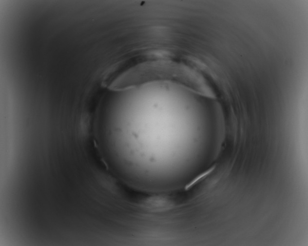 X0000093170280200710031509
