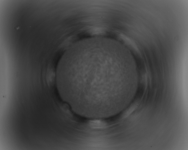 X0000093170281200710031509