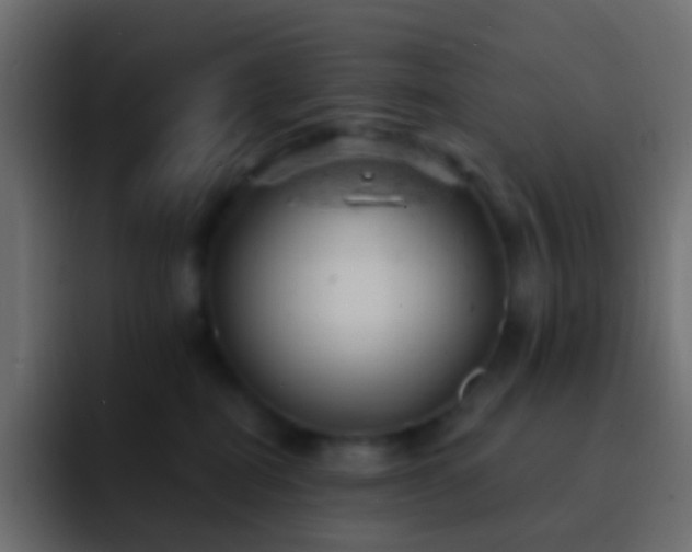 X0000093170282200710031509