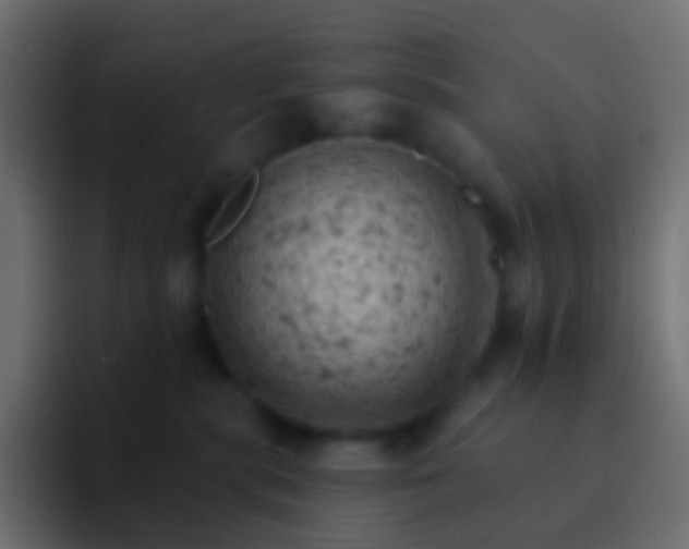 X0000093170283200710031509