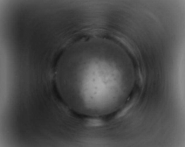 X0000093170284200710031509