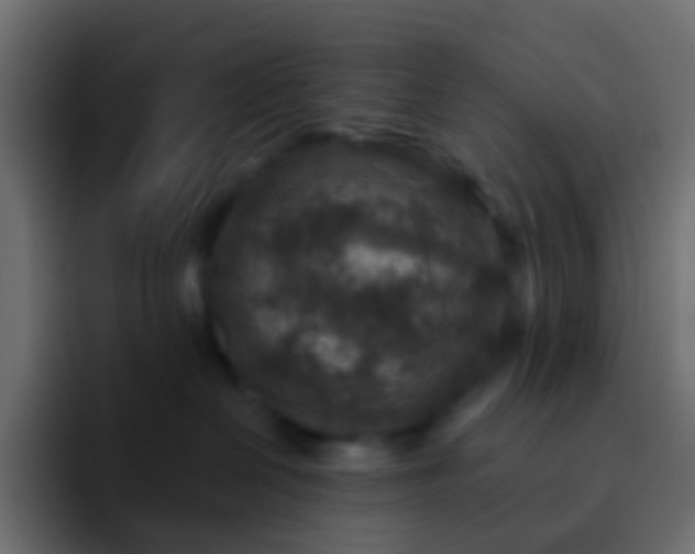 X0000093170286200710031509