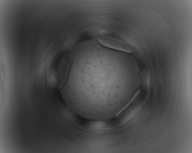 X0000093170287200710031509