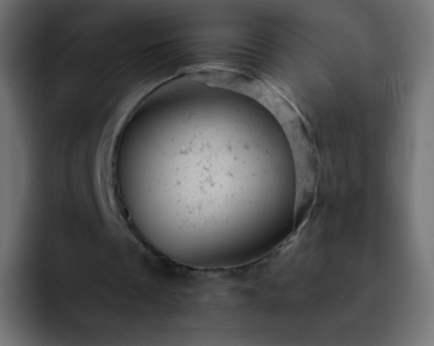 X0000093170289200710031509