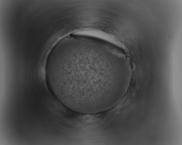 X0000093170290200710031509