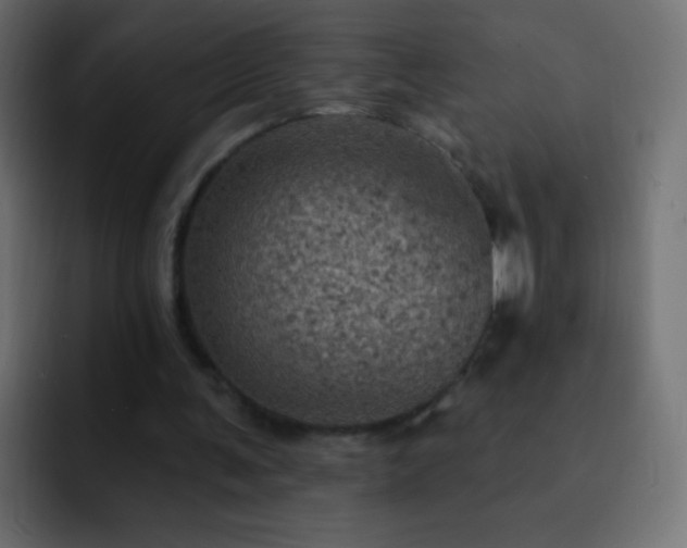 X0000093170291200710031509